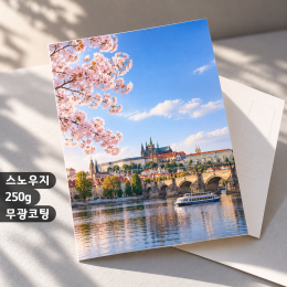 [일반엽서] 스노우지 250g 무광코팅