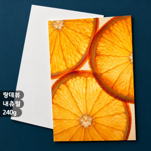[수입지엽서] 랑데뷰내츄럴 240g / 100매 할인