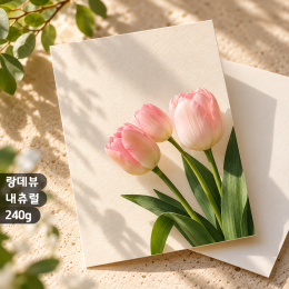 [수입지엽서] 랑데뷰내츄럴 240g