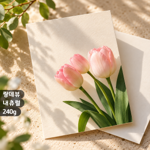 [수입지엽서] 랑데뷰내츄럴 240g